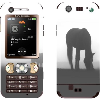 Sony Ericsson W890