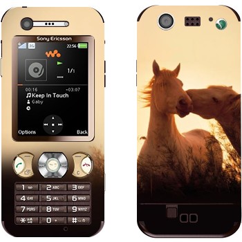   « »   Sony Ericsson W890