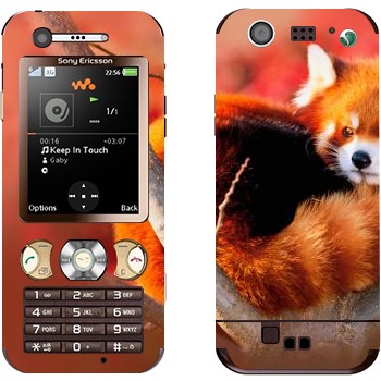   « »   Sony Ericsson W890