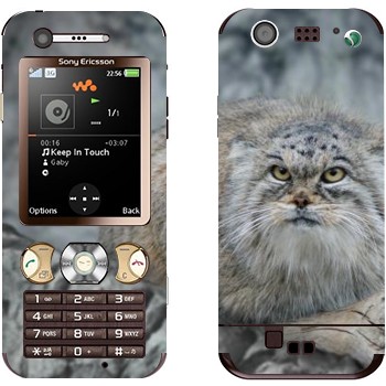   «»   Sony Ericsson W890