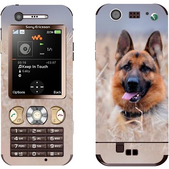 Sony Ericsson W890