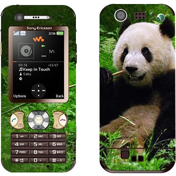   «  »   Sony Ericsson W890