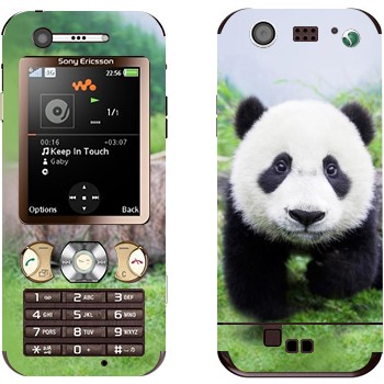   «  »   Sony Ericsson W890