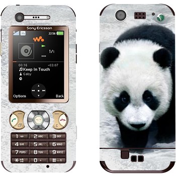 Sony Ericsson W890