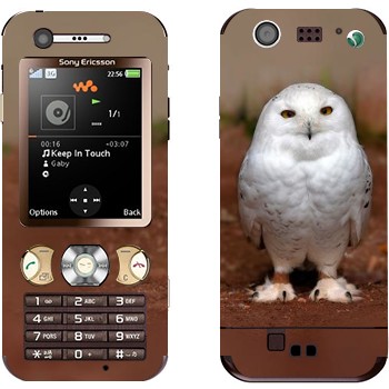   « »   Sony Ericsson W890