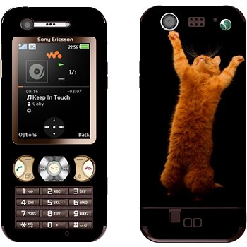   «     »   Sony Ericsson W890