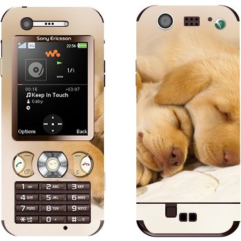 Sony Ericsson W890