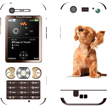   «  »   Sony Ericsson W890