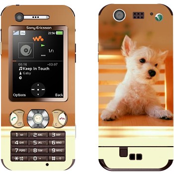 Sony Ericsson W890