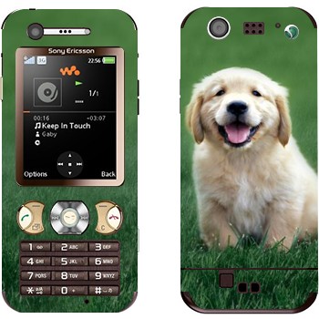 Sony Ericsson W890