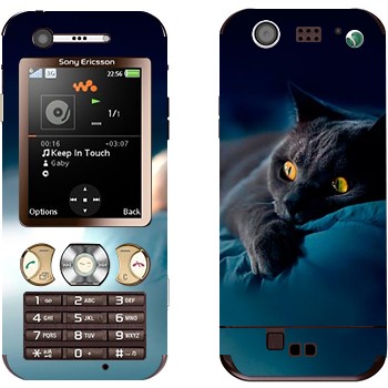 Sony Ericsson W890