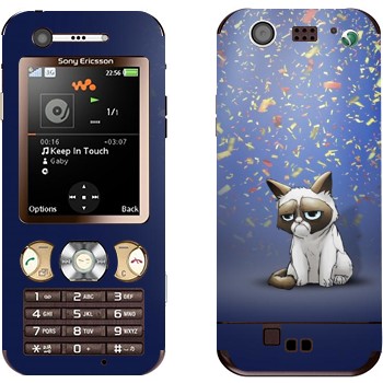   «   »   Sony Ericsson W890