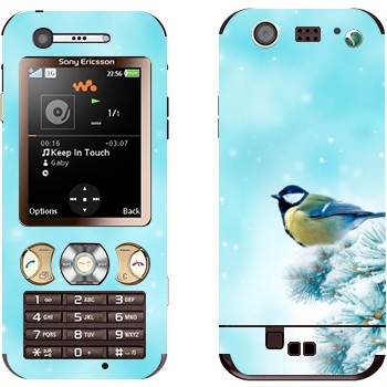   «  »   Sony Ericsson W890