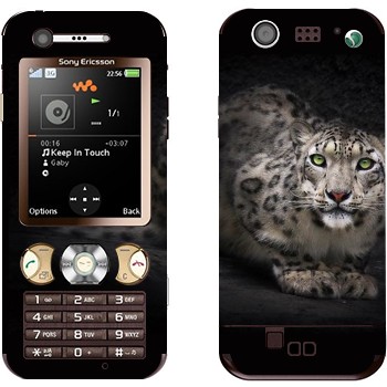 Sony Ericsson W890