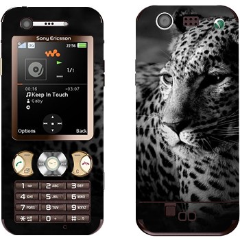 Sony Ericsson W890