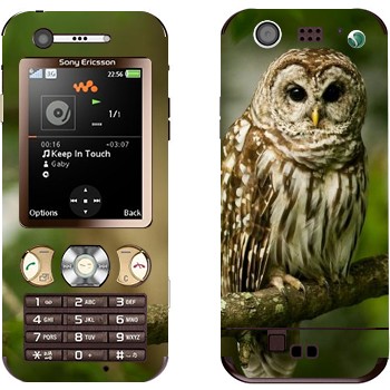   «  »   Sony Ericsson W890