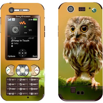 Sony Ericsson W890