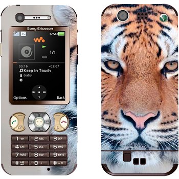 Sony Ericsson W890