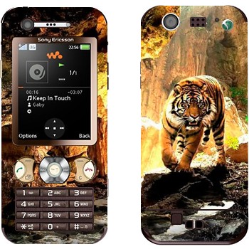 Sony Ericsson W890