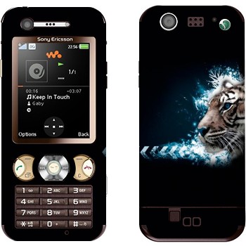   « »   Sony Ericsson W890