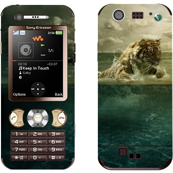 Sony Ericsson W890