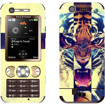 Sony Ericsson W890