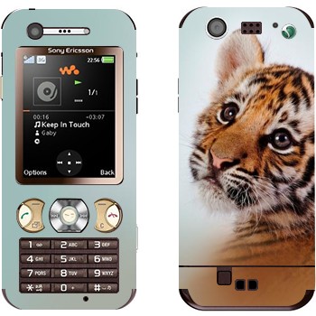 Sony Ericsson W890