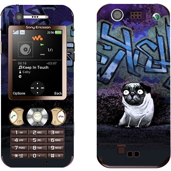 Sony Ericsson W890