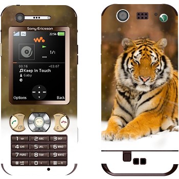 Sony Ericsson W890