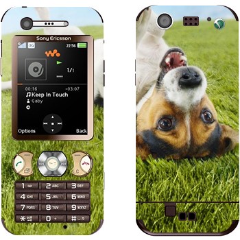 Sony Ericsson W890