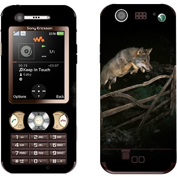   «  »   Sony Ericsson W890