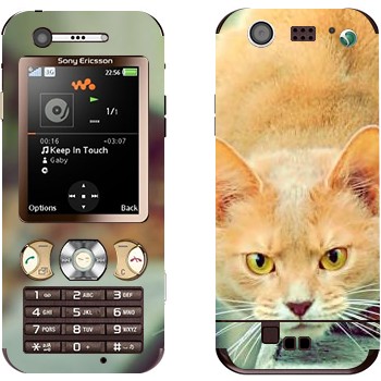 Sony Ericsson W890