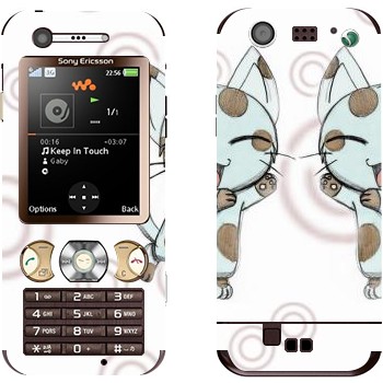 Sony Ericsson W890