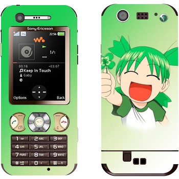 Sony Ericsson W890