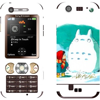   «  »   Sony Ericsson W890