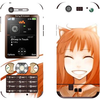   « -   »   Sony Ericsson W890