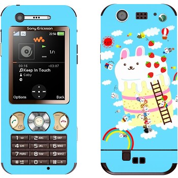 Sony Ericsson W890