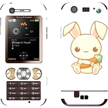 Sony Ericsson W890