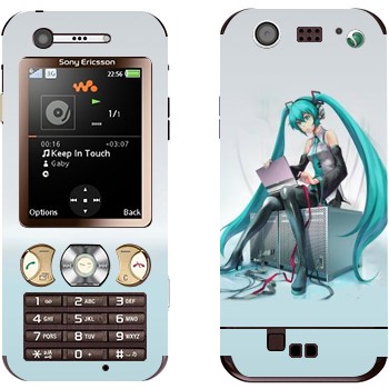 Sony Ericsson W890