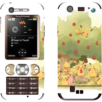 Sony Ericsson W890