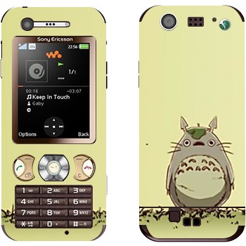 Sony Ericsson W890