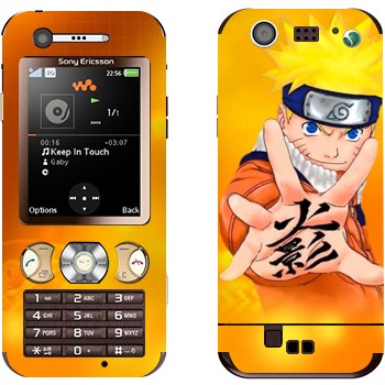   «:  »   Sony Ericsson W890