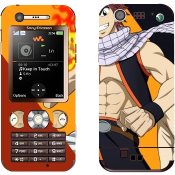 Sony Ericsson W890