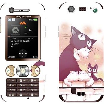 Sony Ericsson W890