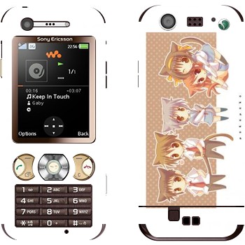 Sony Ericsson W890