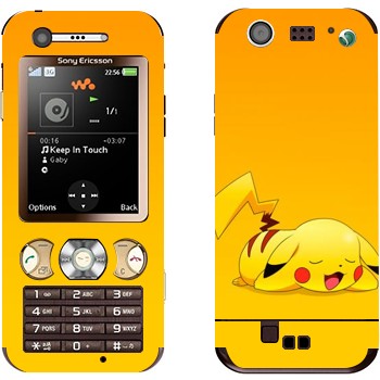 Sony Ericsson W890