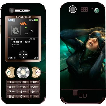   «  »   Sony Ericsson W890