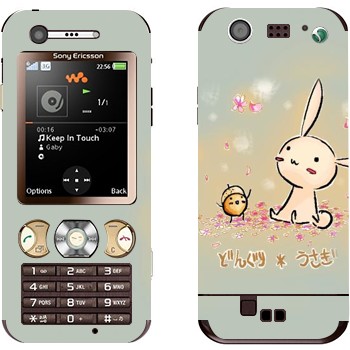 Sony Ericsson W890