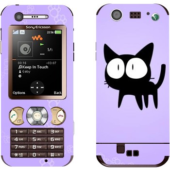 Sony Ericsson W890