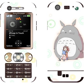 Sony Ericsson W890